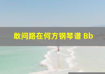 敢问路在何方钢琴谱 Bb